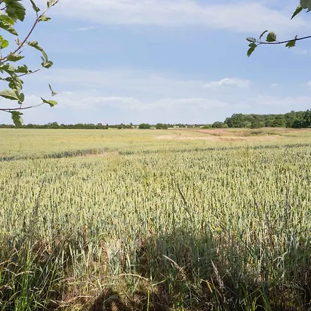 Lovely Summer House In Hébergement de vacances Haderslev